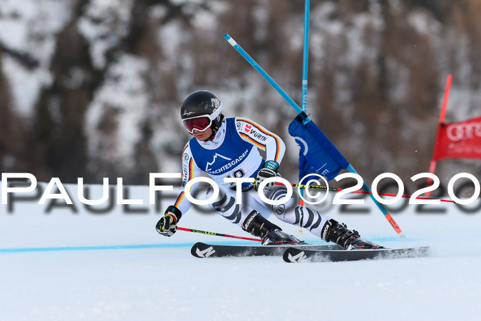 FIS + NJC Riesenslalom Damen + Herren 01.02.2020