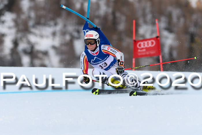 FIS + NJC Riesenslalom Damen + Herren 01.02.2020