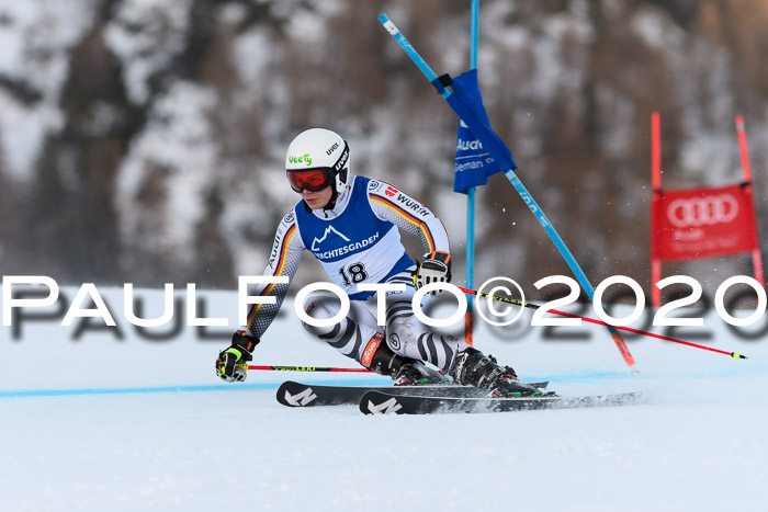 FIS + NJC Riesenslalom Damen + Herren 01.02.2020