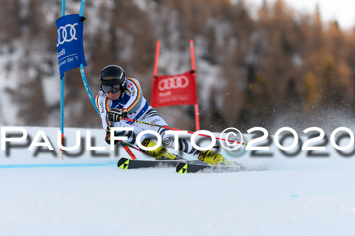 FIS + NJC Riesenslalom Damen + Herren 01.02.2020
