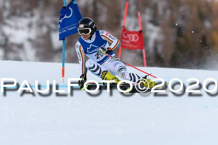 FIS + NJC Riesenslalom Damen + Herren 01.02.2020