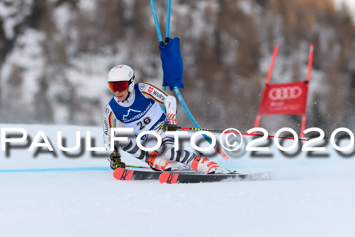 FIS + NJC Riesenslalom Damen + Herren 01.02.2020
