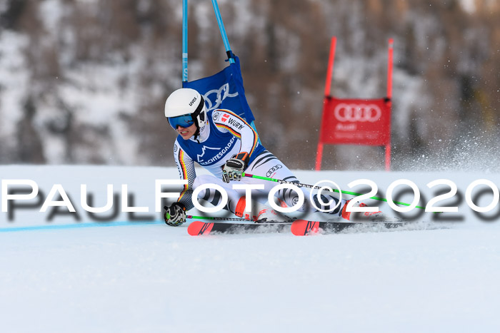 FIS + NJC Riesenslalom Damen + Herren 01.02.2020