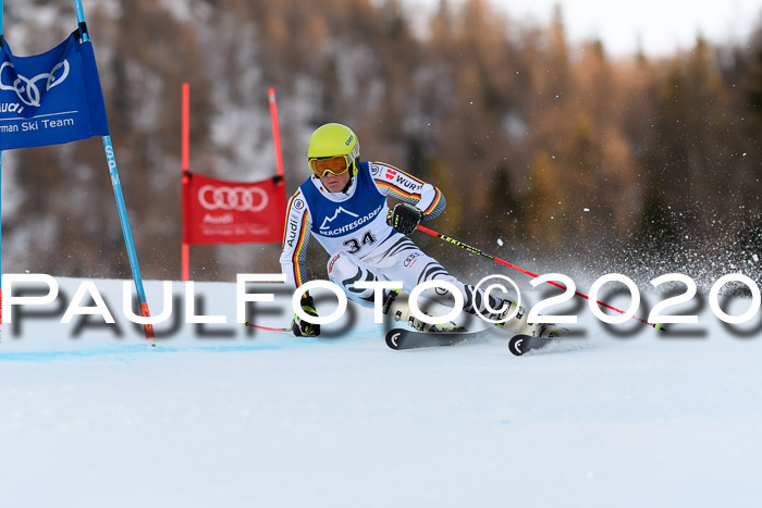 FIS + NJC Riesenslalom Damen + Herren 01.02.2020