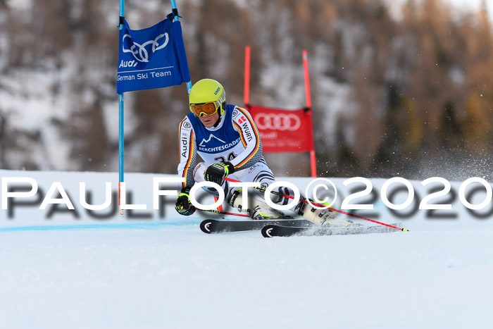 FIS + NJC Riesenslalom Damen + Herren 01.02.2020