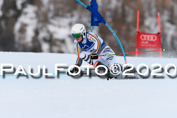 FIS + NJC Riesenslalom Damen + Herren 01.02.2020