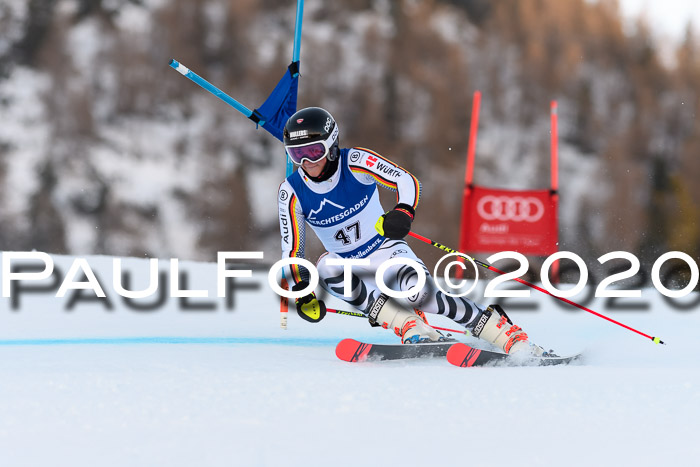 FIS + NJC Riesenslalom Damen + Herren 01.02.2020