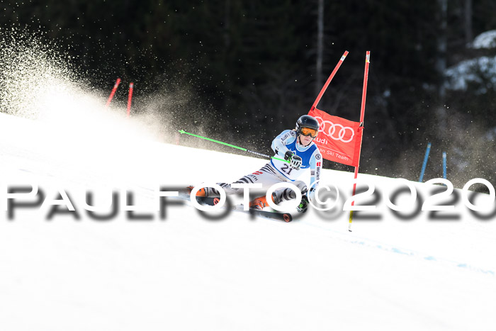 FIS + NJC Riesenslalom Damen + Herren 01.02.2020