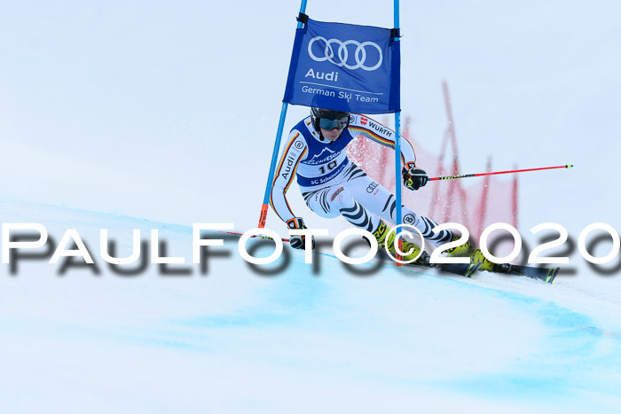 FIS + NJC Riesenslalom Damen + Herren 01.02.2020