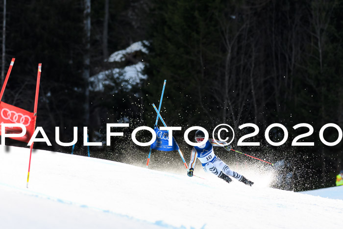 FIS + NJC Riesenslalom Damen + Herren 01.02.2020