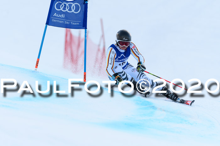 FIS + NJC Riesenslalom Damen + Herren 01.02.2020