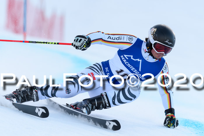 FIS + NJC Riesenslalom Damen + Herren 01.02.2020