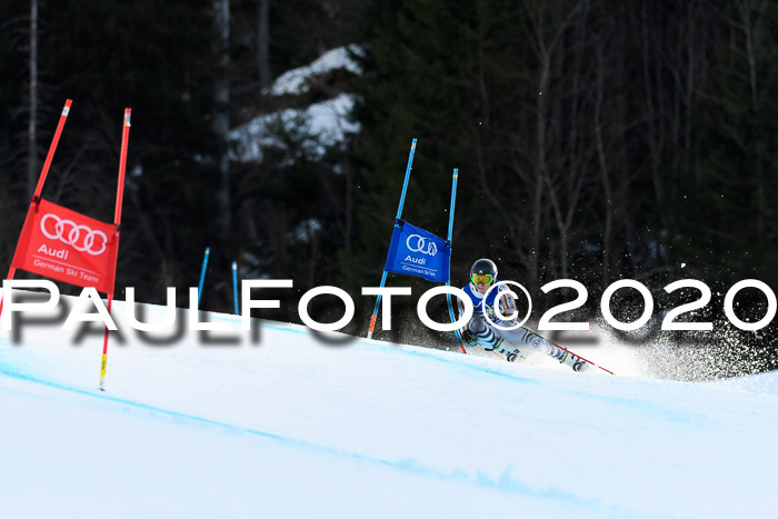 FIS + NJC Riesenslalom Damen + Herren 01.02.2020