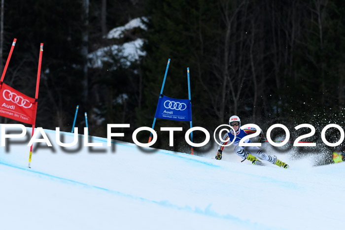 FIS + NJC Riesenslalom Damen + Herren 01.02.2020