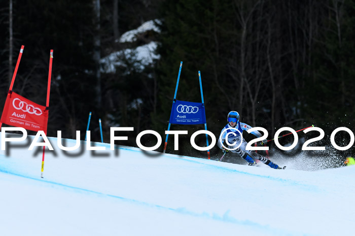 FIS + NJC Riesenslalom Damen + Herren 01.02.2020