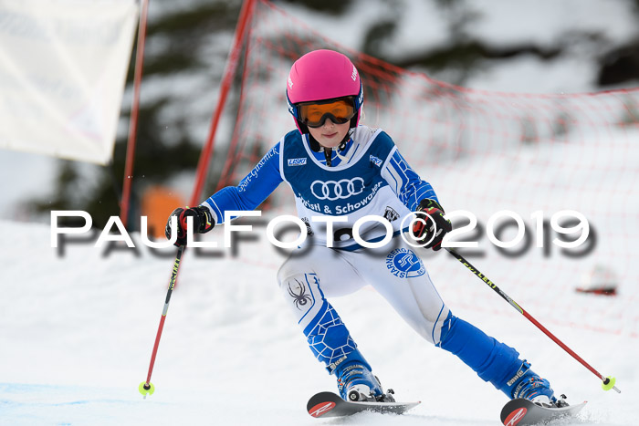 Starnberger Skikreismeisterschaft Leutasch 02.02.2020