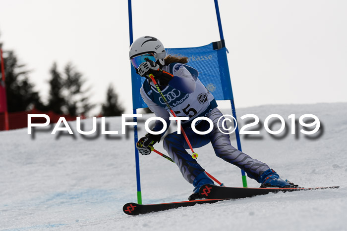 Starnberger Skikreismeisterschaft Leutasch 02.02.2020