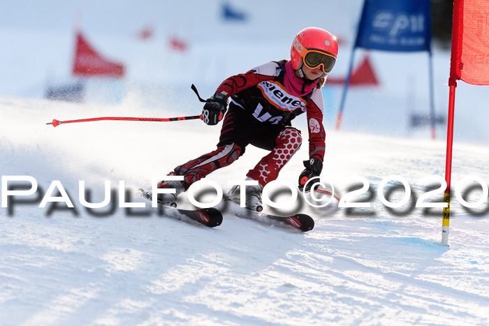 Ziener Kids Cross U12 + Reischmann Cup ASV/WF