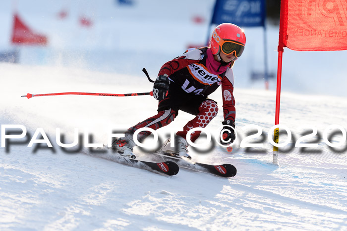 Ziener Kids Cross U12 + Reischmann Cup ASV/WF
