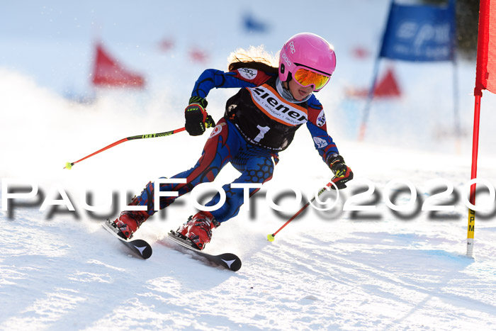 Ziener Kids Cross U12 + Reischmann Cup ASV/WF