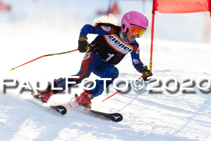 Ziener Kids Cross U12 + Reischmann Cup ASV/WF