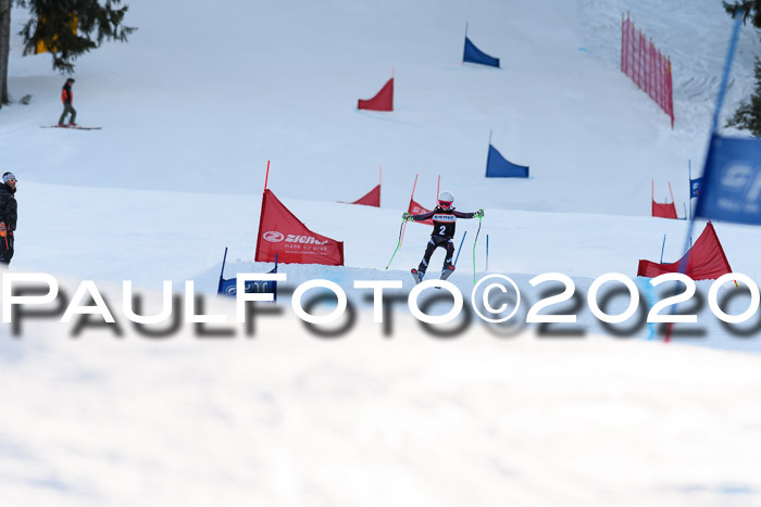 Ziener Kids Cross U12 + Reischmann Cup ASV/WF