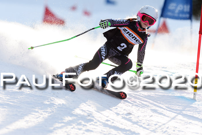 Ziener Kids Cross U12 + Reischmann Cup ASV/WF