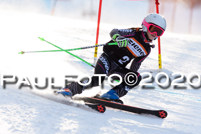 Ziener Kids Cross U12 + Reischmann Cup ASV/WF