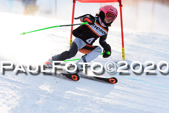 Ziener Kids Cross U12 + Reischmann Cup ASV/WF