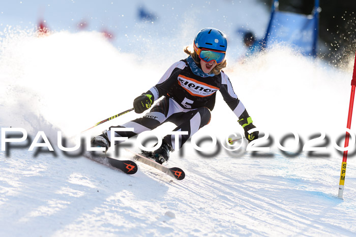 Ziener Kids Cross U12 + Reischmann Cup ASV/WF