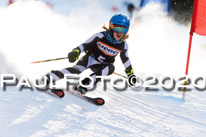 Ziener Kids Cross U12 + Reischmann Cup ASV/WF