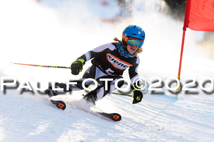 Ziener Kids Cross U12 + Reischmann Cup ASV/WF
