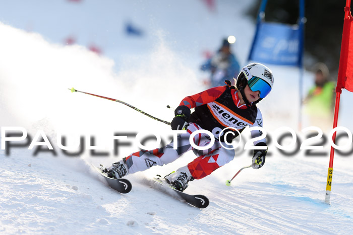 Ziener Kids Cross U12 + Reischmann Cup ASV/WF