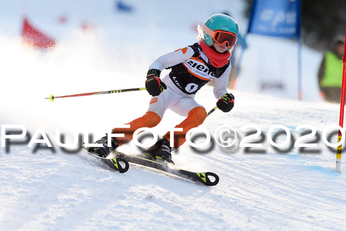Ziener Kids Cross U12 + Reischmann Cup ASV/WF