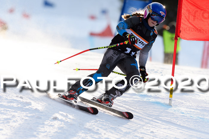 Ziener Kids Cross U12 + Reischmann Cup ASV/WF