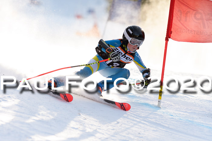 Ziener Kids Cross U12 + Reischmann Cup ASV/WF