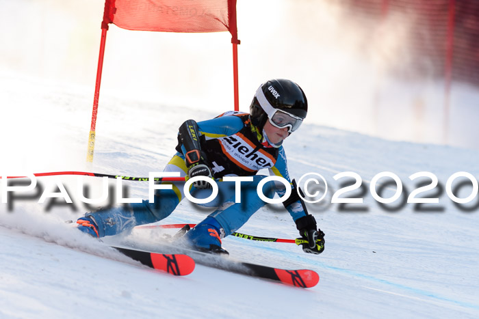 Ziener Kids Cross U12 + Reischmann Cup ASV/WF