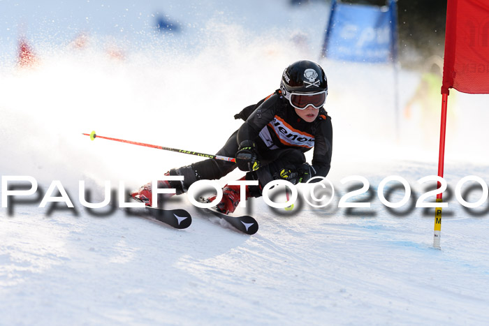 Ziener Kids Cross U12 + Reischmann Cup ASV/WF