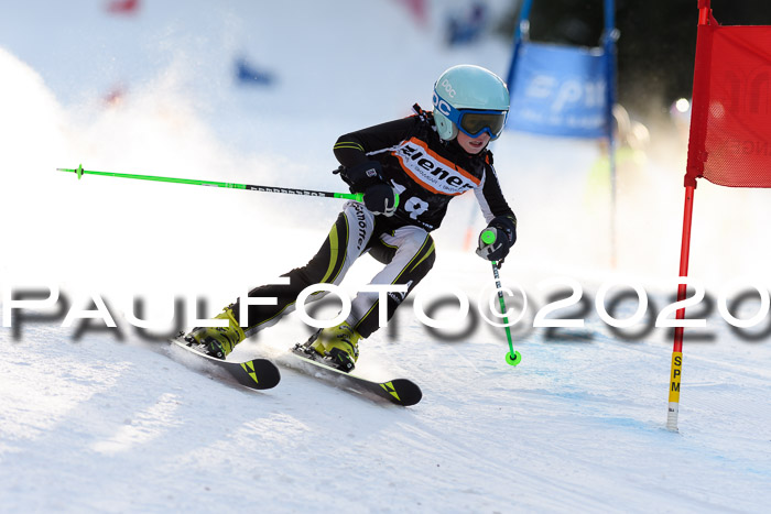 Ziener Kids Cross U12 + Reischmann Cup ASV/WF