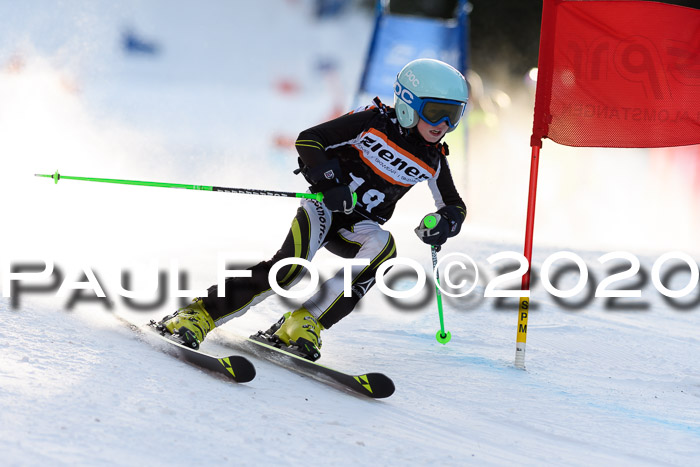 Ziener Kids Cross U12 + Reischmann Cup ASV/WF