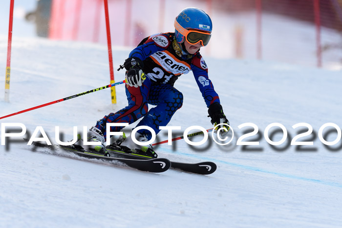 Ziener Kids Cross U12 + Reischmann Cup ASV/WF
