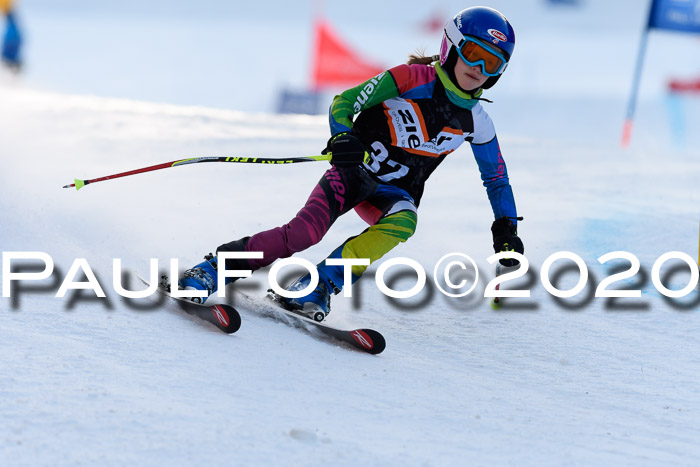 Ziener Kids Cross U12 + Reischmann Cup ASV/WF
