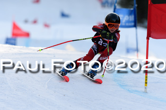 Ziener Kids Cross U12 + Reischmann Cup ASV/WF