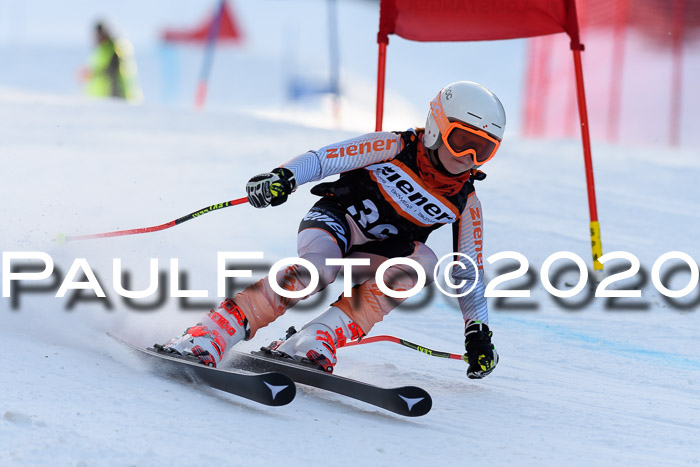 Ziener Kids Cross U12 + Reischmann Cup ASV/WF