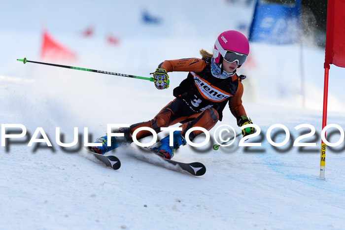 Ziener Kids Cross U12 + Reischmann Cup ASV/WF