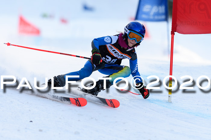 Ziener Kids Cross U12 + Reischmann Cup ASV/WF