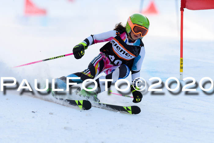 Ziener Kids Cross U12 + Reischmann Cup ASV/WF