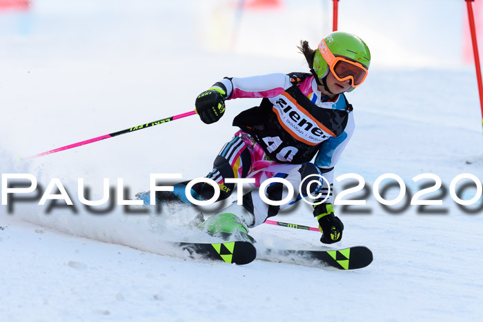 Ziener Kids Cross U12 + Reischmann Cup ASV/WF