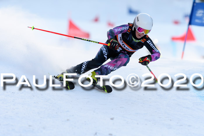 Ziener Kids Cross U12 + Reischmann Cup ASV/WF