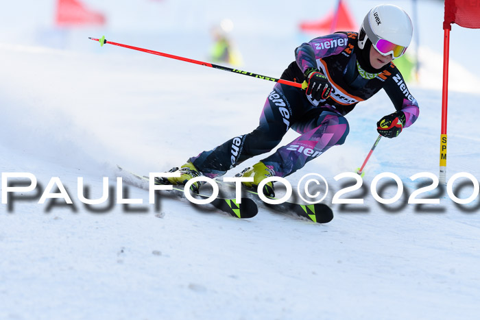 Ziener Kids Cross U12 + Reischmann Cup ASV/WF